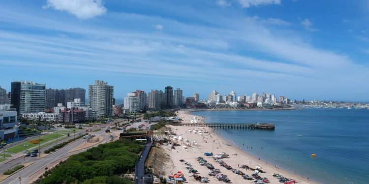 Monzeglio y Antía prevén temporada mejor que 2024