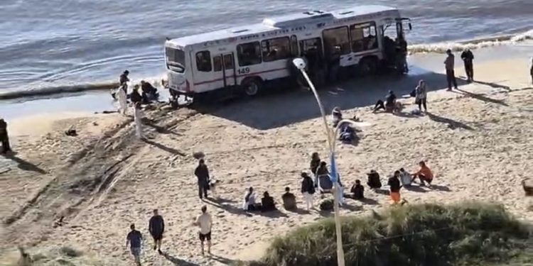 Peritaje al chofer del ómnibus accidentado en la playa Pocitos señala que el chofer se durmió