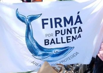 Vecinos destacaron el apoyo recibido y seguirán luchando para declarar Punta Ballena como área protegida