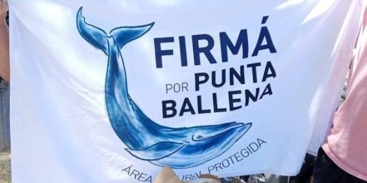 Vecinos destacaron el apoyo recibido y seguirán luchando para declarar Punta Ballena como área protegida