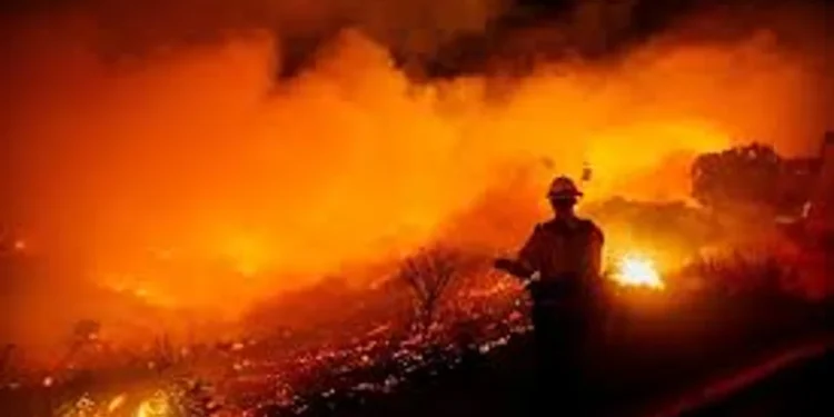 Asciende a 16 la cifra de muertos por incendios forestales en Los Ángeles