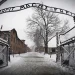 Líderes mundiales y sobrevivientes conmemoraron el 80° aniversario de la liberación de Auschwitz