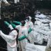 El drama humanitario del Congo: más de 2.000 cadáveres enterrados en Goma