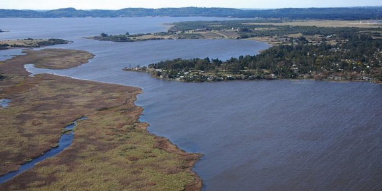 Alertan por presencia de cianobacterias en la Laguna del Sauce
