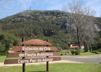 Cerro Pan de Azúcar dispone de nuevo protocolo de ascenso