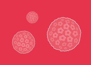 4 de marzo: Día Internacional de Concienciación sobre el VPH