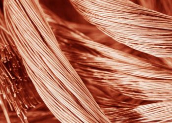 Robó cables en Punta del Este pero fue retenido hasta que llegó la Policía