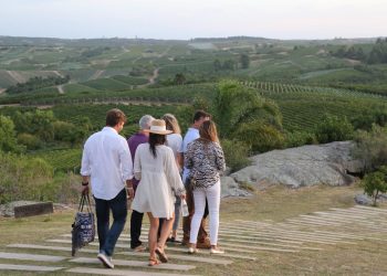 Semana de Turismo: ocho bodegas y almazaras para visitar en Maldonado