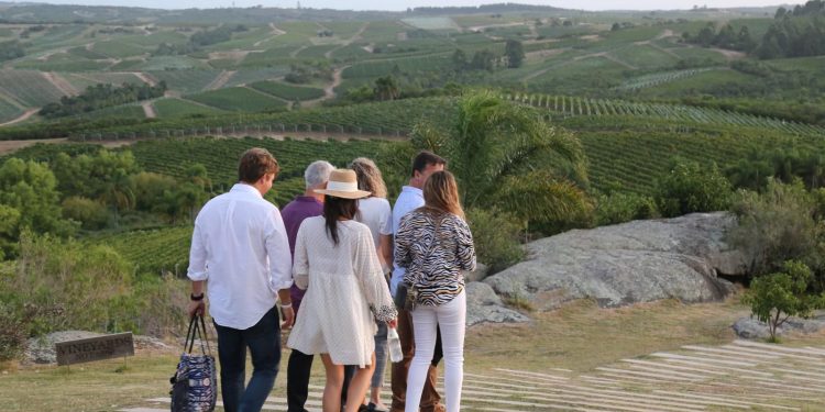 Semana de Turismo: ocho bodegas y almazaras para visitar en Maldonado