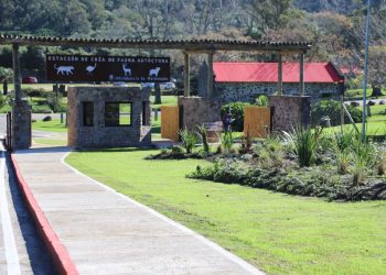 Parques municipales: horarios y propuestas destinadas al disfrute en familia