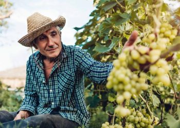 Se celebra el Día del Trabajador Rural