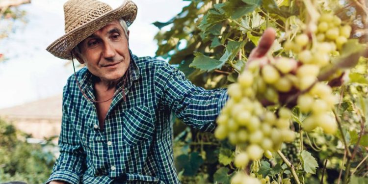 Se celebra el Día del Trabajador Rural