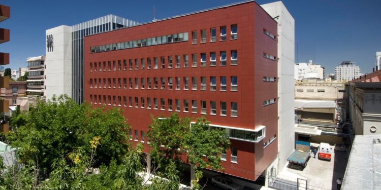 Niño que consumió hongos venenosos fue trasladado a Buenos Aires para posible trasplante