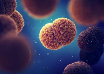 ¿Qué es una infección meningocócica y porqué es tan importante la vacuna?