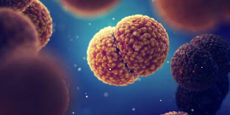 ¿Qué es una infección meningocócica y porqué es tan importante la vacuna?