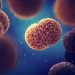¿Qué es una infección meningocócica y porqué es tan importante la vacuna?