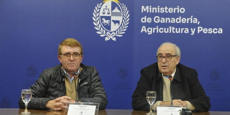 Colonización: Renunció presidente y dijo que hubo «un manoseo» al instituto