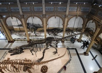 América Latina celebró el día internacional de los museos