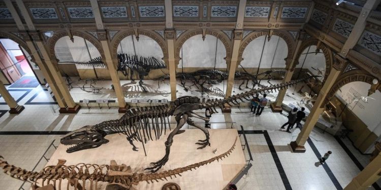 América Latina celebró el día internacional de los museos