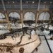 América Latina celebró el día internacional de los museos