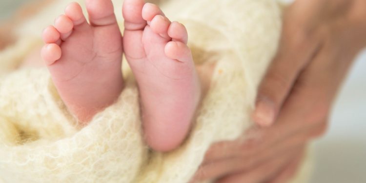 Maldonado se suma a la Semana de la Fertilidad con actividades abiertas a la comunidad y para profesionales