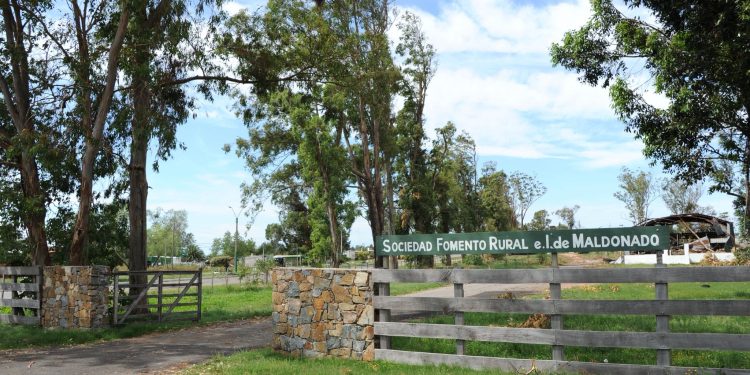 Sociedad de Fomento Rural e Industrial de Maldonado repudió los hechos de violencia ocurridos fuera del predio donde un hombre fue asesinado