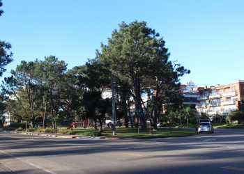 Marchó a prisión el joven que realizaba actos obscenos en la zona de Plaza México