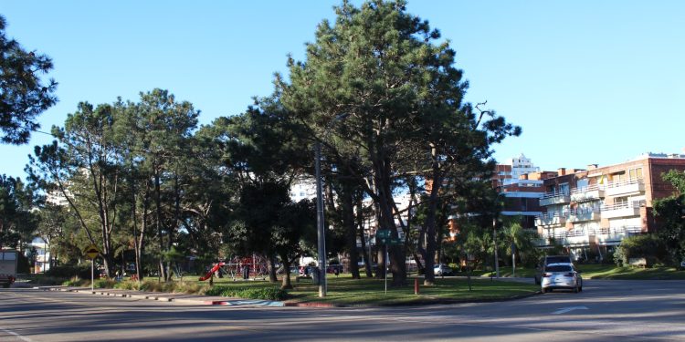 Marchó a prisión el joven que realizaba actos obscenos en la zona de Plaza México