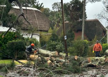 Varias intervenciones de CECOED por vientos muy fuertes y persistentes