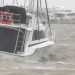 Uno de los tres veleros afectados en el Puerto de Punta del Este no contaba con seguro