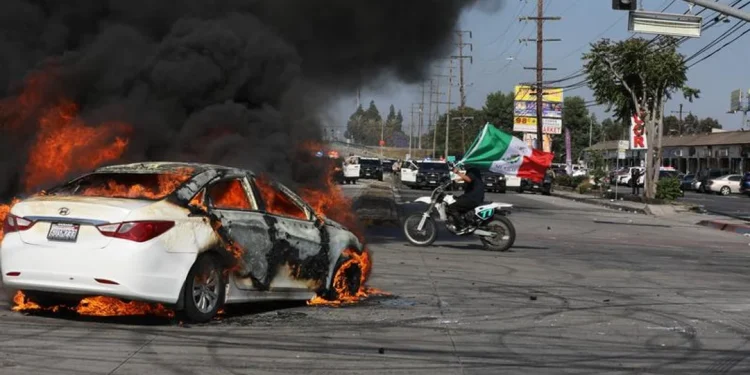 Guerra total por las protestas en Los Ángeles: Musk y Trump apuntan contra el gobernador de California