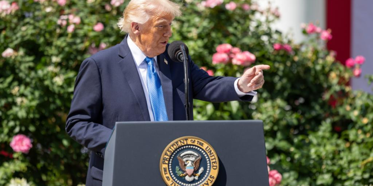 Trump, sobre la conversación telefónica con Putin sobre Irán y Ucrania: «No logré ningún avance con él»