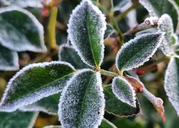 Ola de frío se mantiene en todo el país hasta el 2 de julio