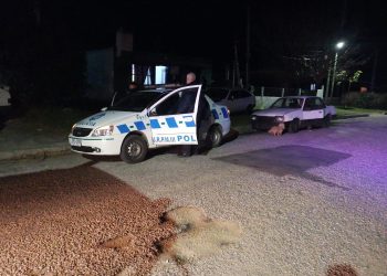 Prisión preventiva al segundo implicado en rapiña a carnicería de Maldonado