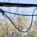 Sexagenario marchó a prisión por el hurto de cables en el barrio Altos del Pinar