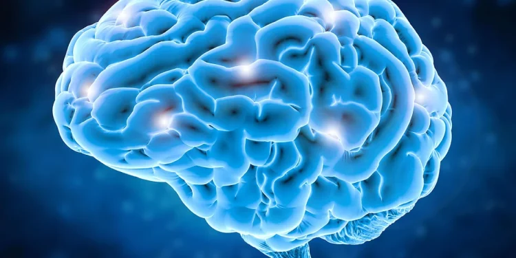 ACV y demencia, las enfermedades que más afectan al cerebro