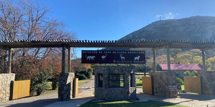 ECFA permanecerá cerrada lunes 25 y martes 26