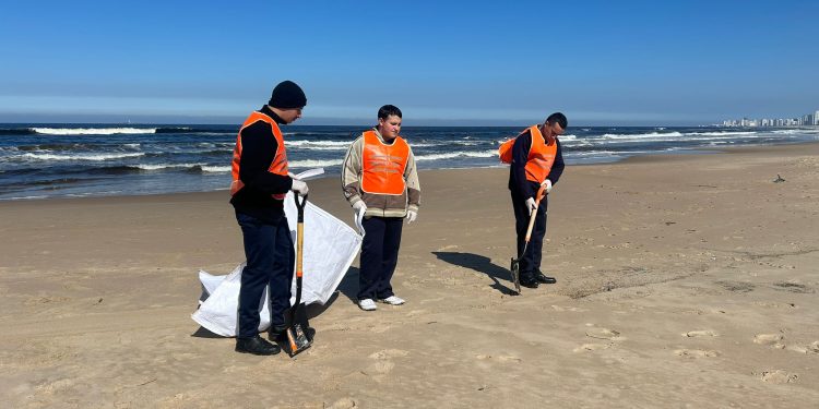 CECOED Maldonado coordina tareas de limpieza en zonas afectadas por hidrocarburos en la costa del departamento