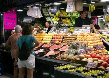 Inflación anualizada al mes de julio fue de 4,53 %