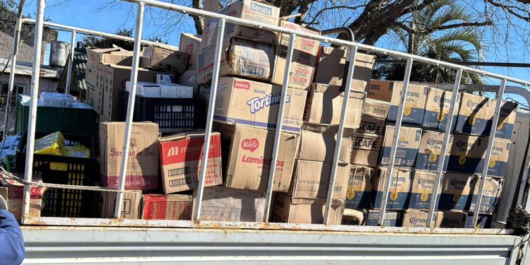 Operativo en Maldonado desmantela red de contrabando con millonario decomiso