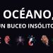 Embajada de Francia presenta la muestra “Océano, un buceo insólito” en el Museo San Fernando