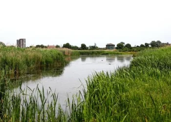 Inglaterra se enfrenta a un déficit de agua “de importancia nacional”