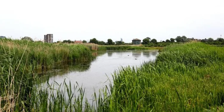 Inglaterra se enfrenta a un déficit de agua “de importancia nacional”
