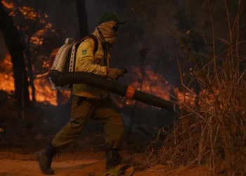 Incendios en Europa duplican el promedio y se prevé un riesgo extremo para septiembre