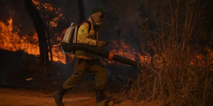 Incendios en Europa duplican el promedio y se prevé un riesgo extremo para septiembre