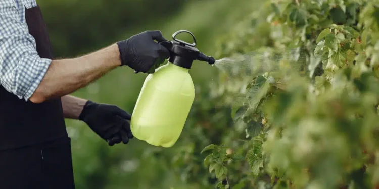 Colorados contra impuesto impulsado por Ministerio de Ambiente; “encubierto, y desnuda voracidad fiscal e ideología”