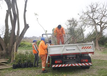 Comenzó tarea de restauración en zona donde funcionaba protectora; Plantación de especies nativas con Abella y UTU