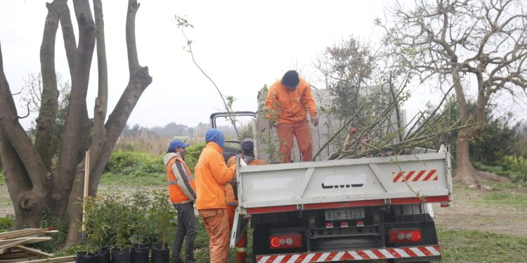 Comenzó tarea de restauración en zona donde funcionaba protectora; Plantación de especies nativas con Abella y UTU