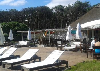 Junta aprobó anuencia al intendente para llamar a licitación por un plazo de 10 años a paradores, entre ellos el de Isla Gorriti