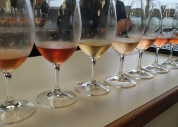 Primera Cata de Vinos Nacionales “Por la Vida” en Punta del Este